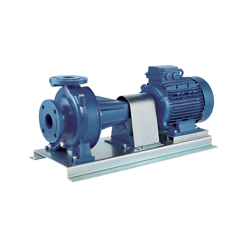 gy3_SERIE203D28429-21.jpg Ebara - 3DP 65-125/4.0 - Part Number: 3DP 65-125/4.0
