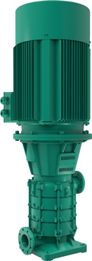 151774e6-555b-40d1-a3dc-06b1eab486ec Zeox-FIRST V 6003/A-37-2