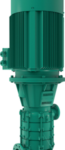 Zeox-FIRST V 16003-110-2